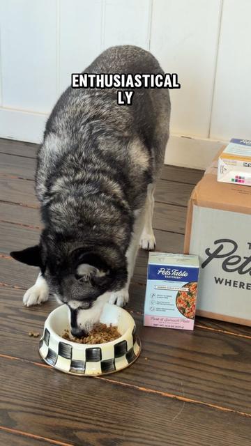 @lifewithkleekai