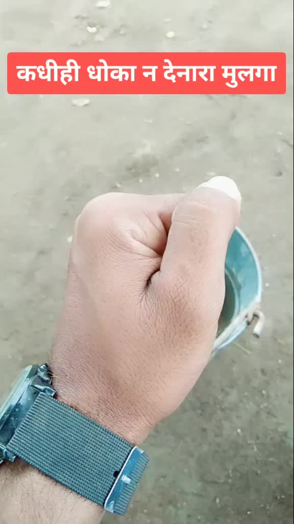 @शिवभक्तSD💥