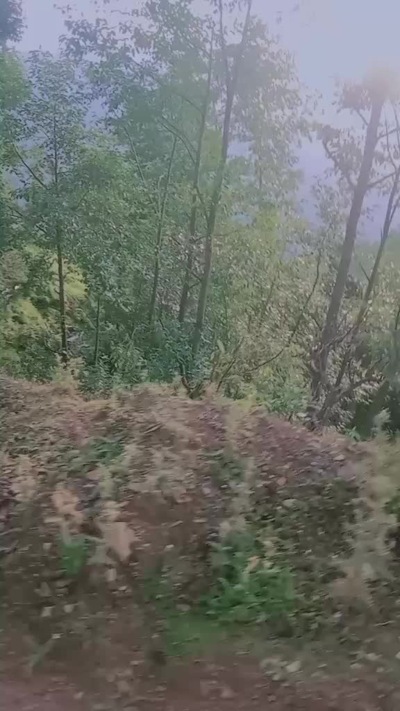 @puskar joshi ❣️बाहुन❣️