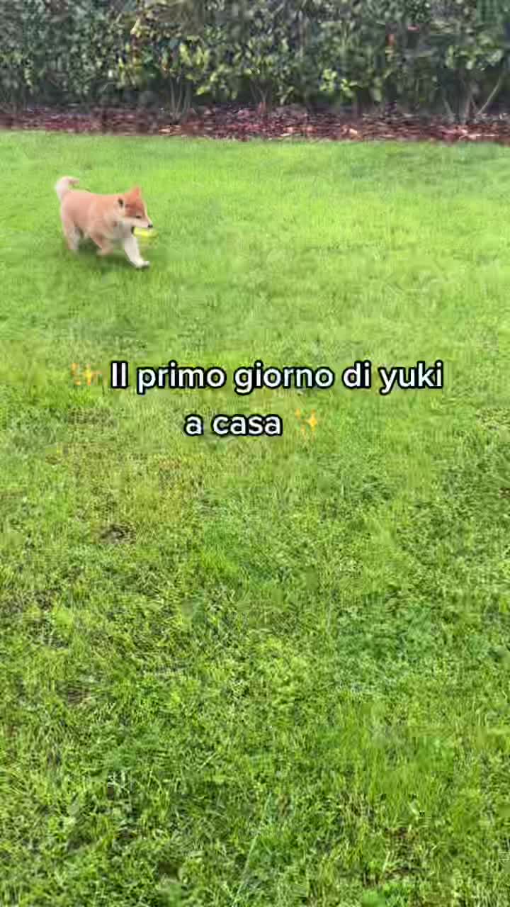 @Martinaiannelli_