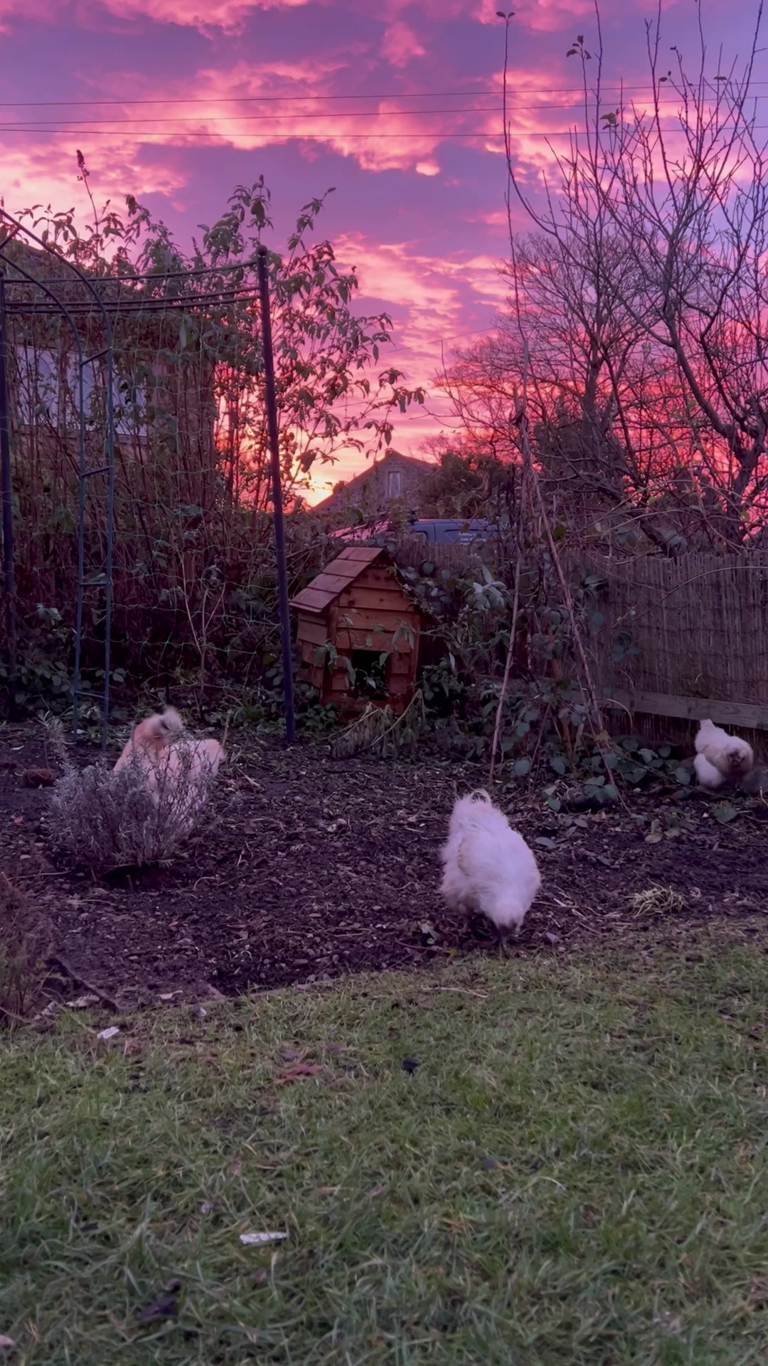 @Diary of a Yorkshire Gardener