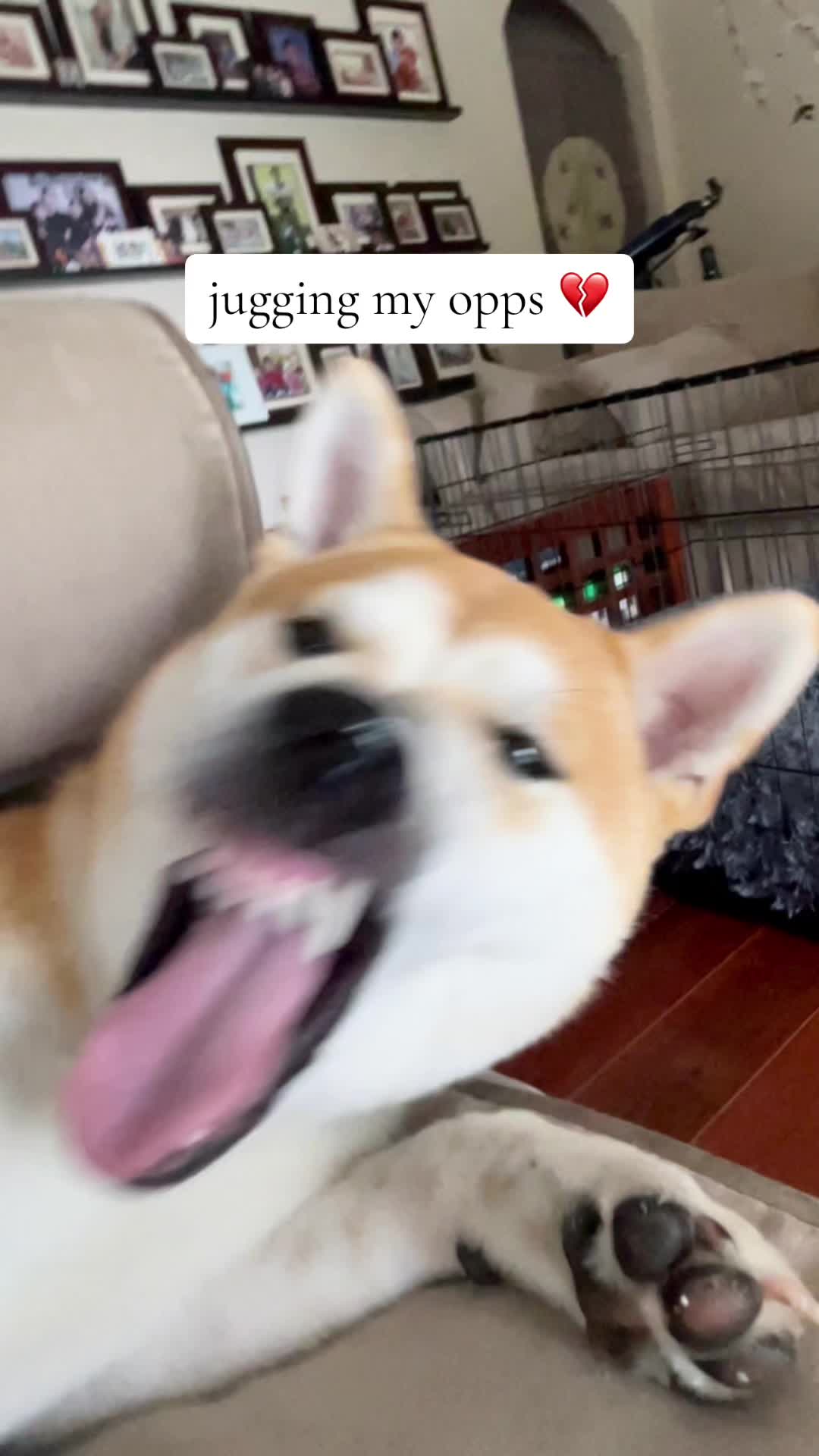 @Yacthy