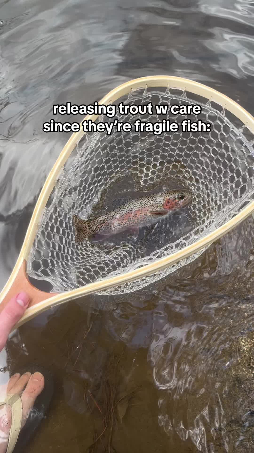 @Fish The East