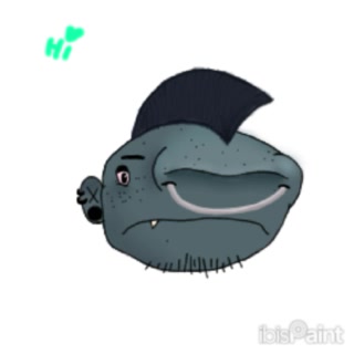 @๊ฆ๊ท๐ค๐๐๐๐๐๐ค๊ท๊ฆ