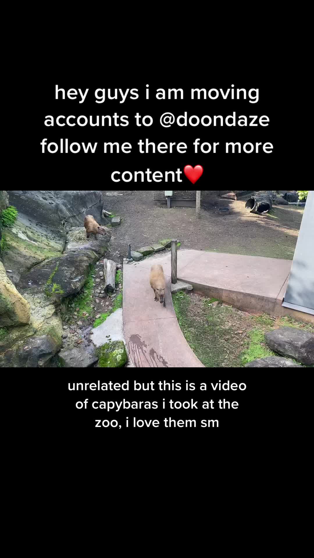 @jude