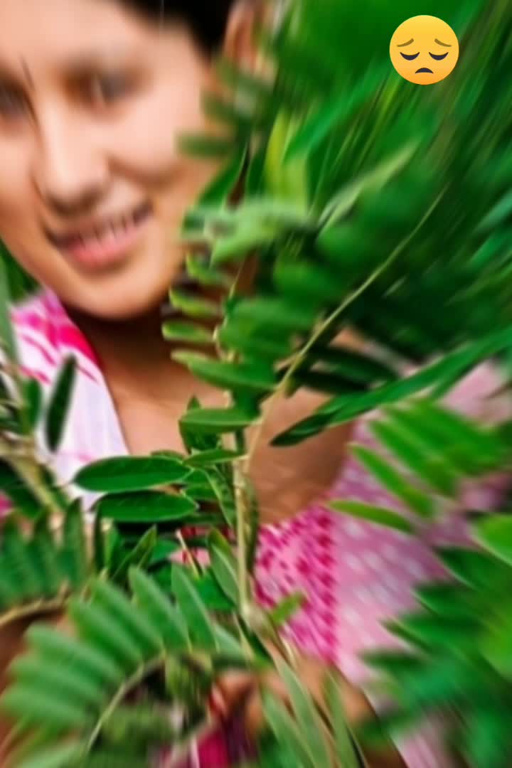 @❣️jamuna shahi👑💍