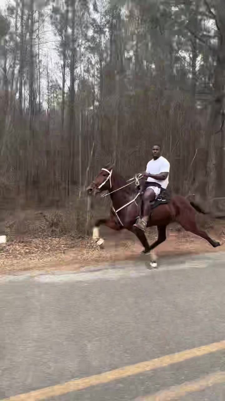 @Devin White ๐ GetLiveStables