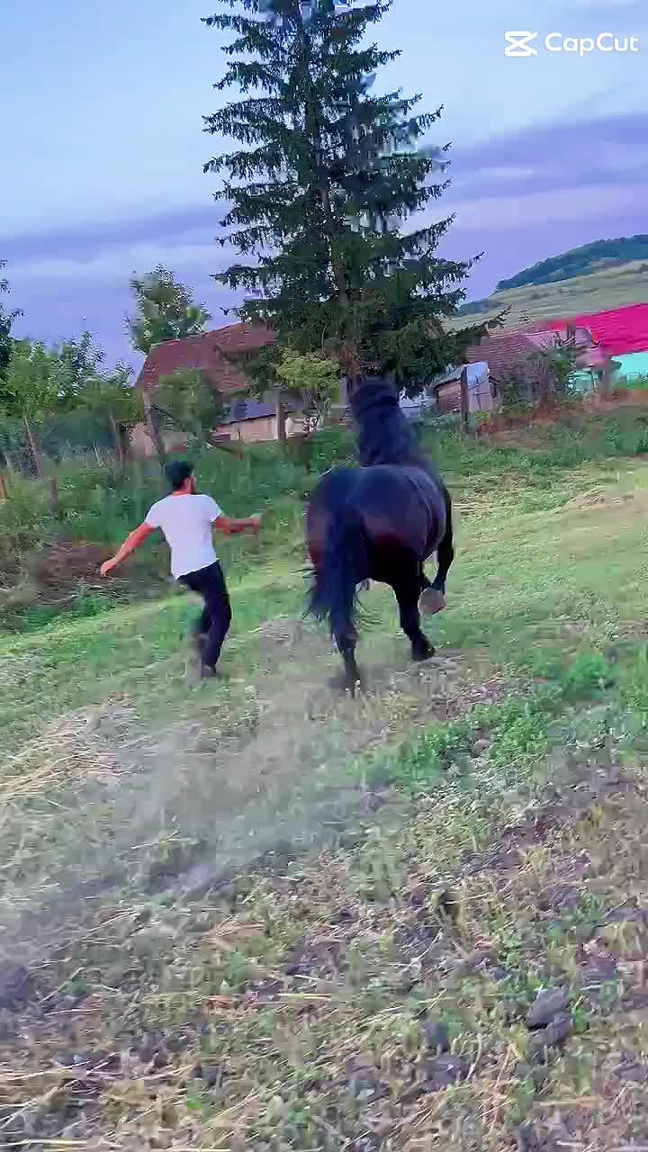 @Dănuț (Gimmy)
