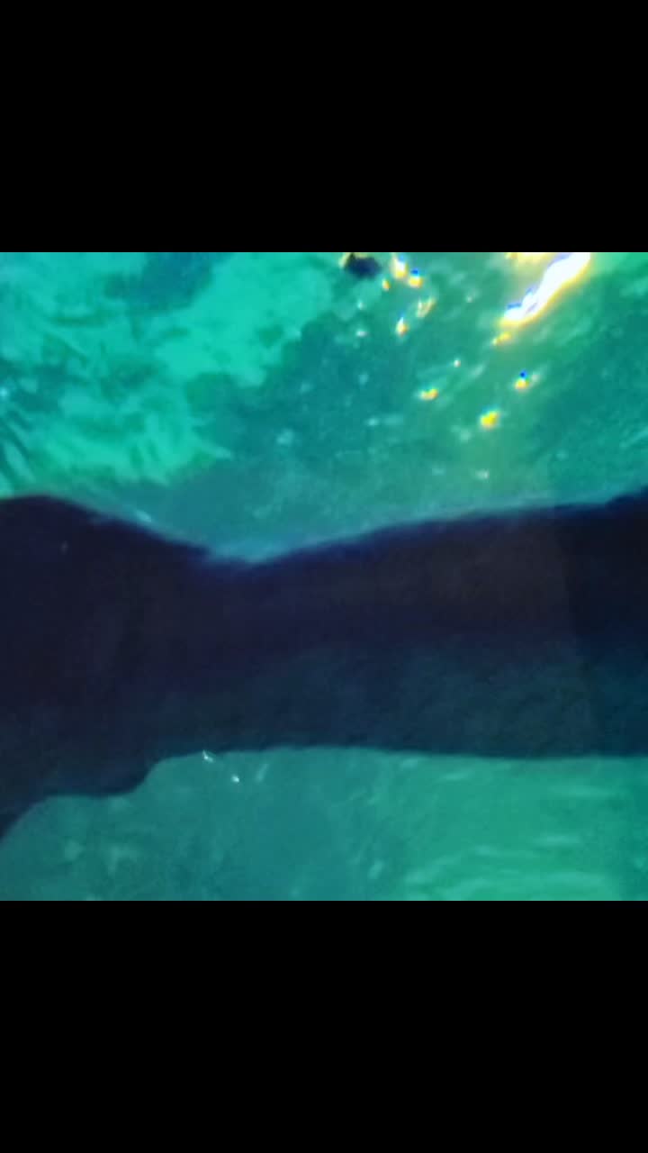 @Moon Mermaid ๐