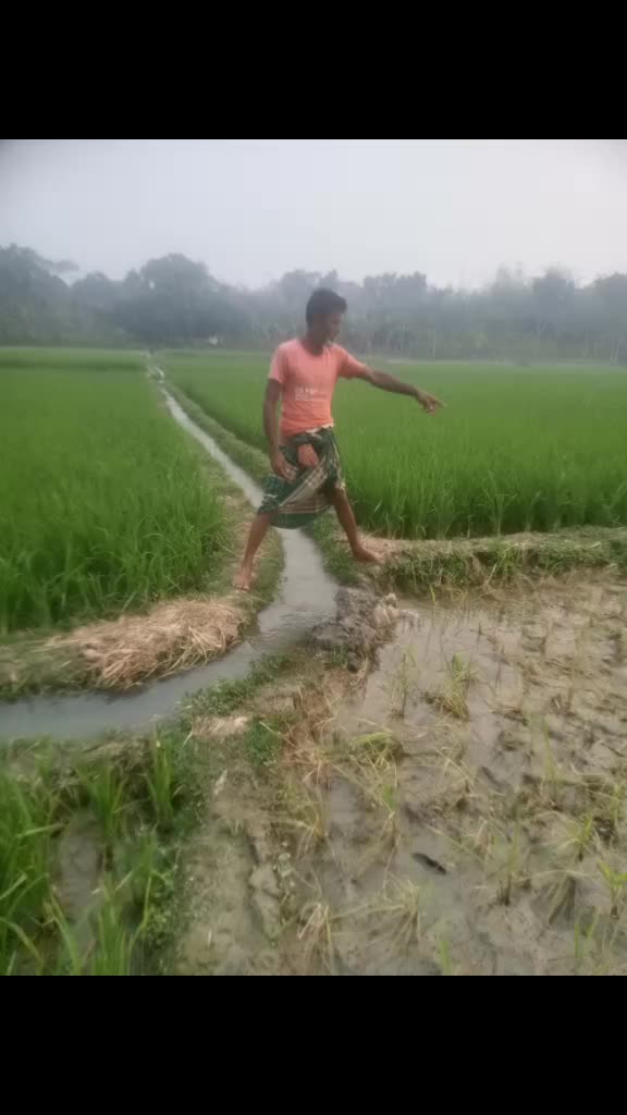 @rahul_f