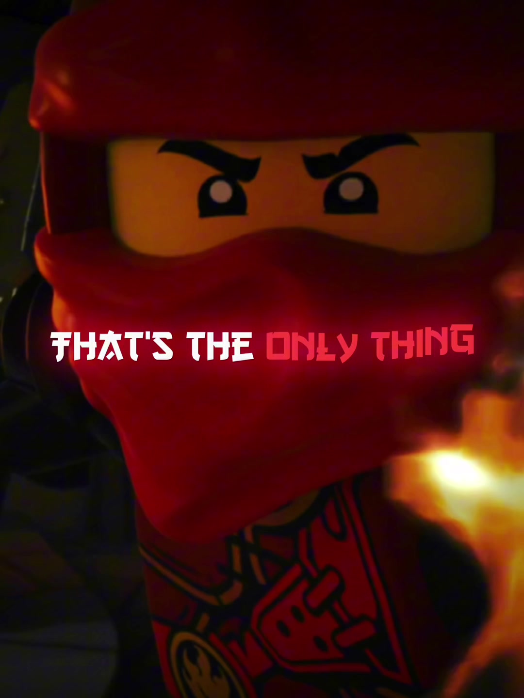 @ninjagophaser