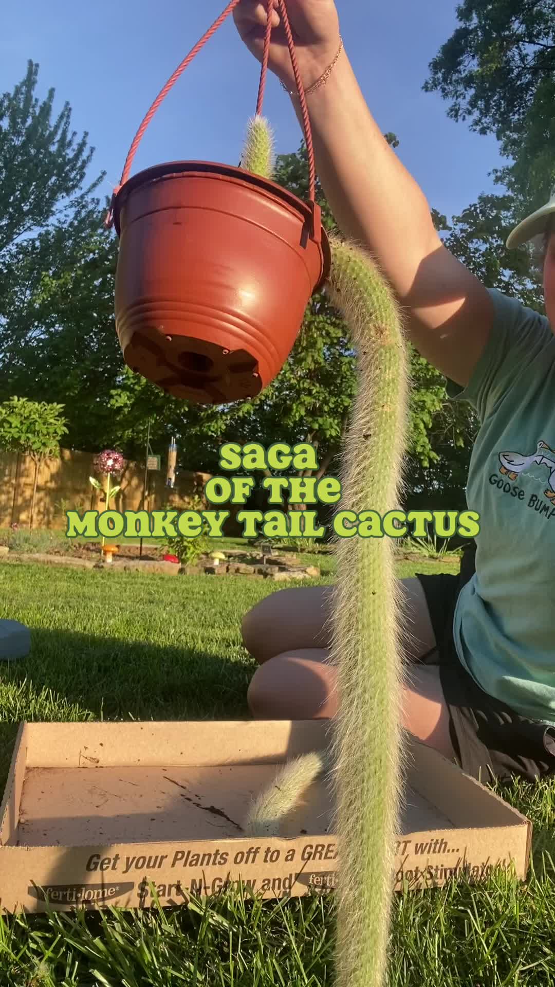 @midwestplantgal