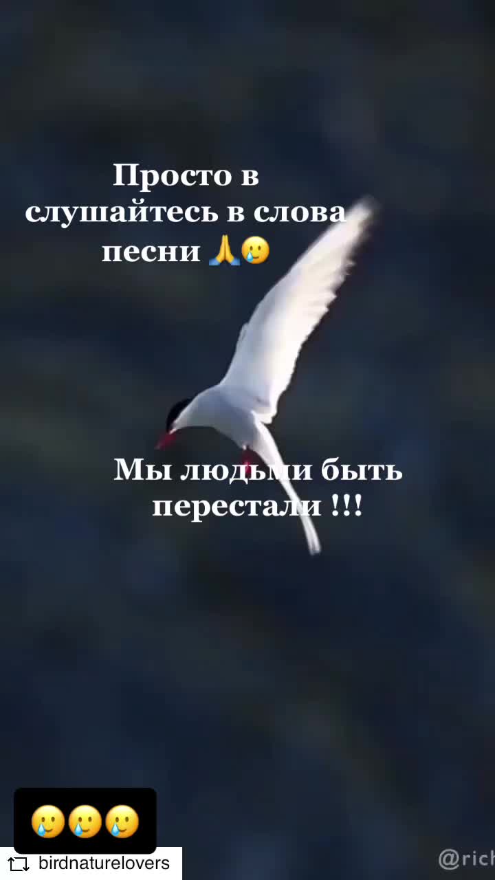 @Olya🇷🇺