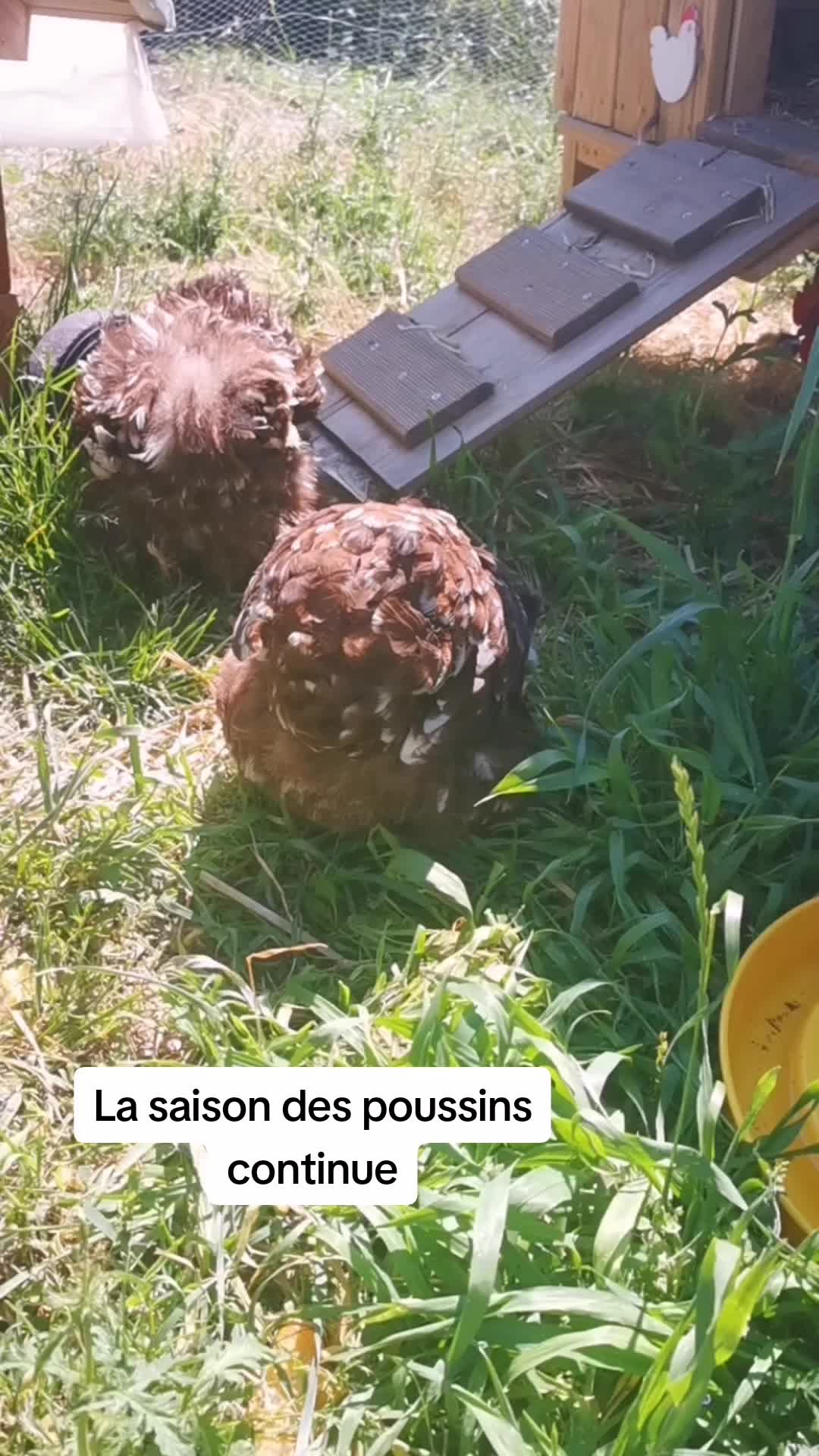 @Miloune au jardin