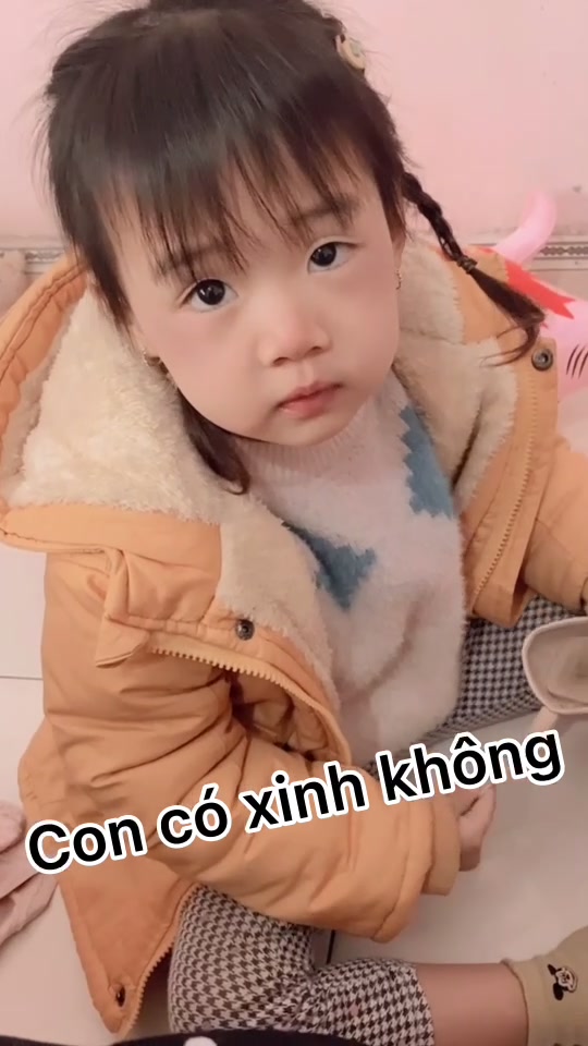 @Chuyện Nhà Em Sóc 🐿️