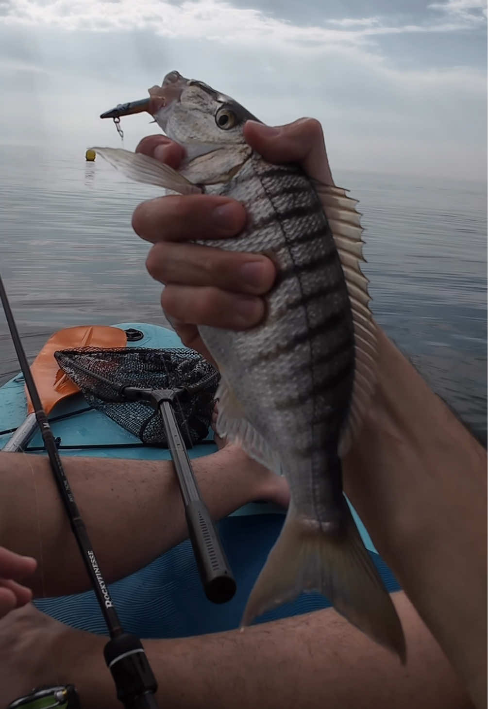 @GRXfishing