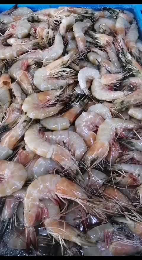 @fish mart@007
