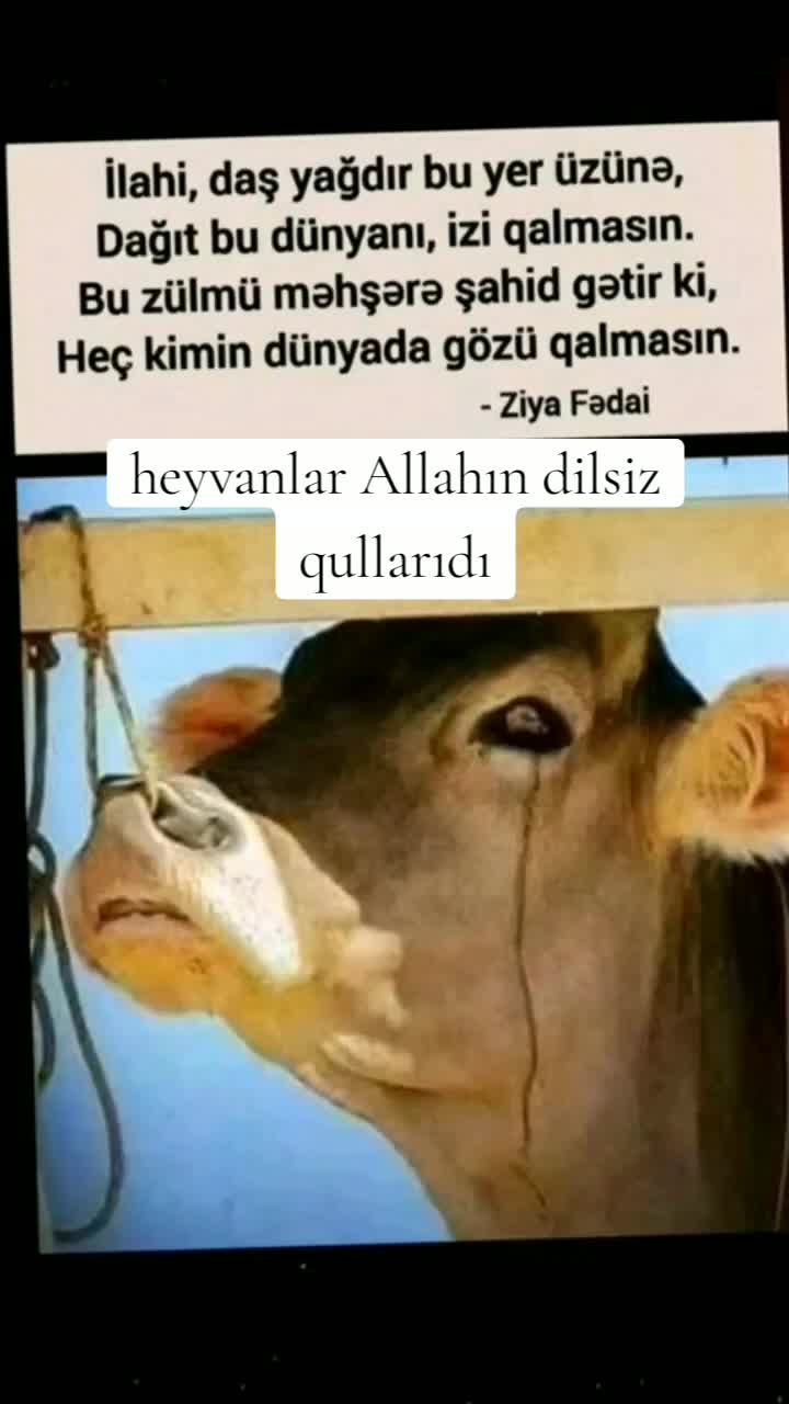 @Qəmli Yazar