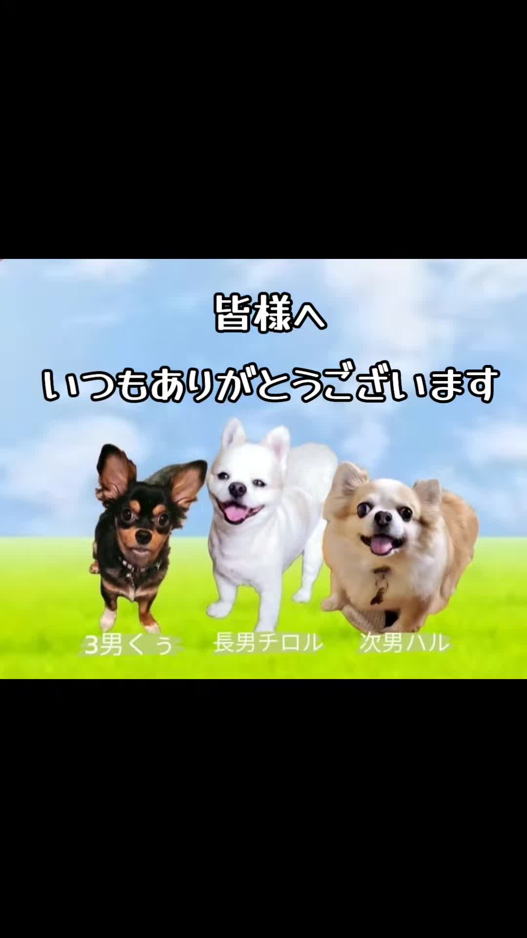 @くぅ♂︎成長日記♡