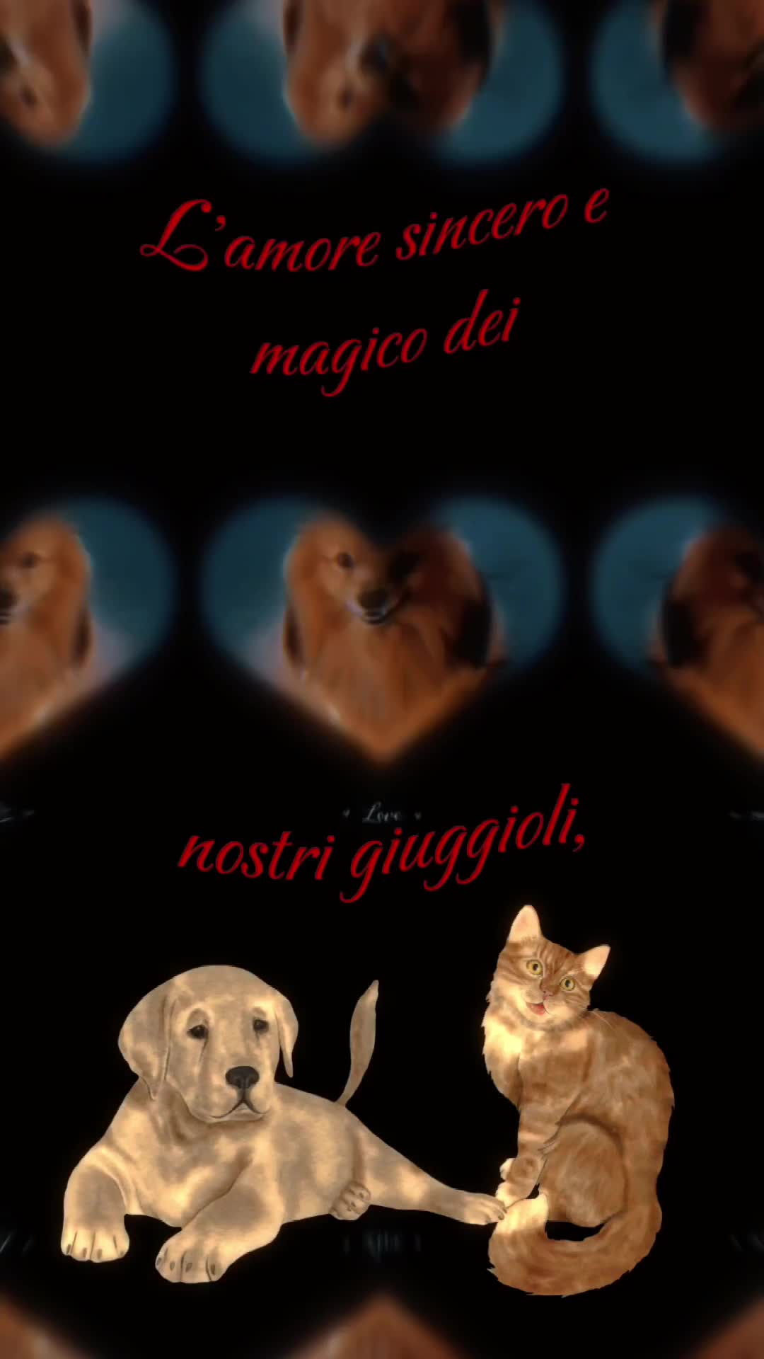 @Pepito