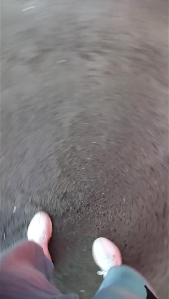 @DUMBOQ_N1