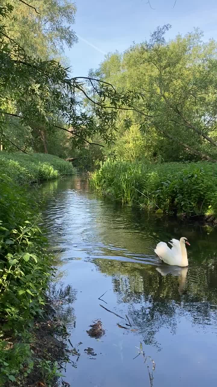 @geniustravels.co.uk