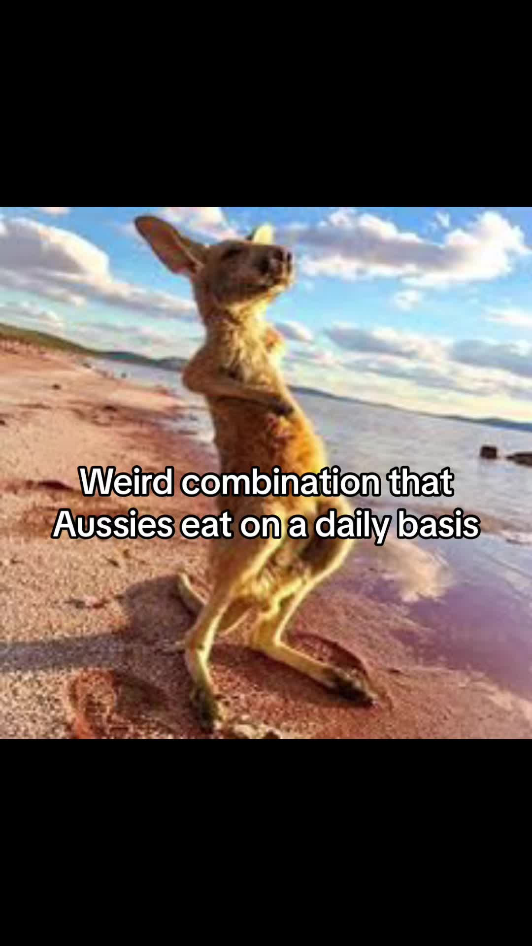 @AUSSIE AUSSIE🦘🇦🇺🌏