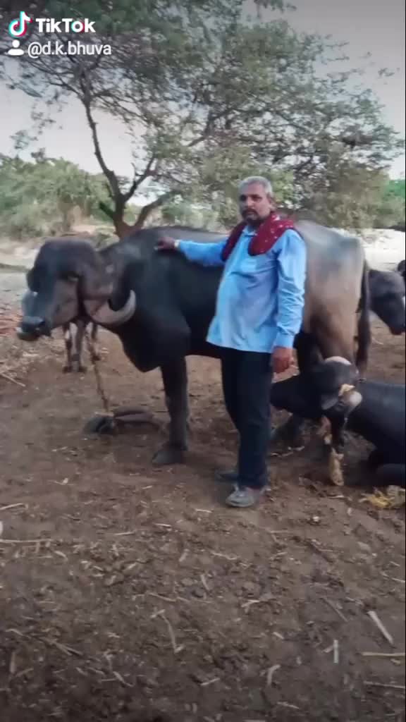 @D.K.ભુવા