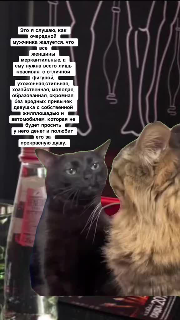 @Kira