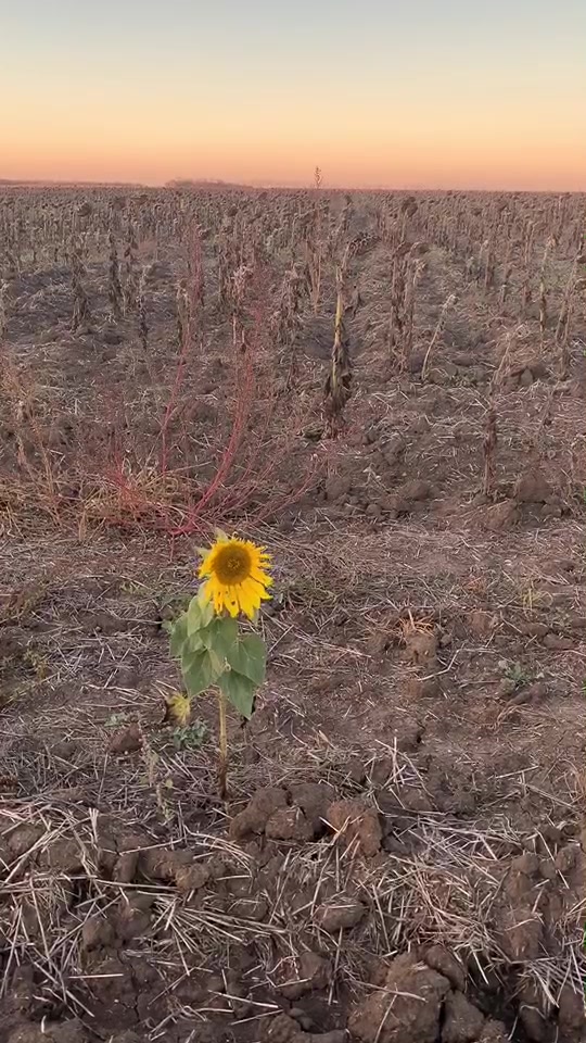 @Творческая студия ☺️