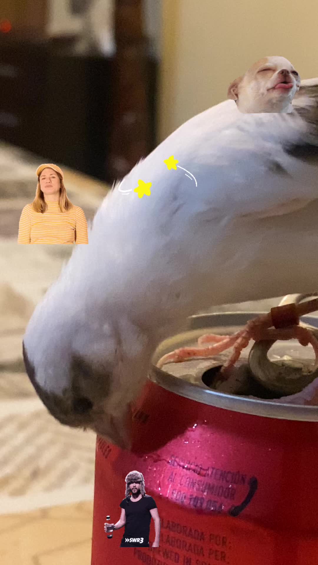 @el_cuervo_blanco
