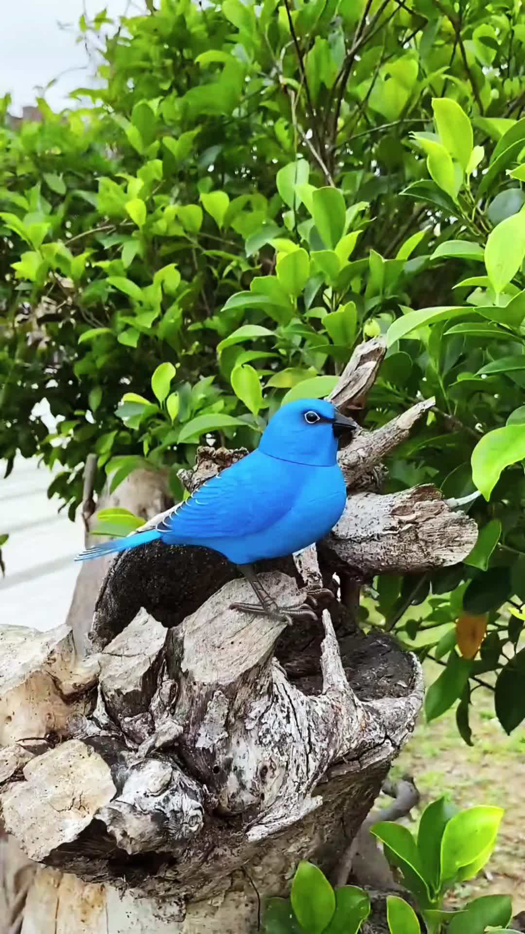 @Tạp ho&aacute; 3 xu