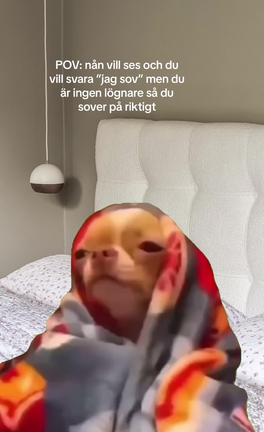 @toftafINTER