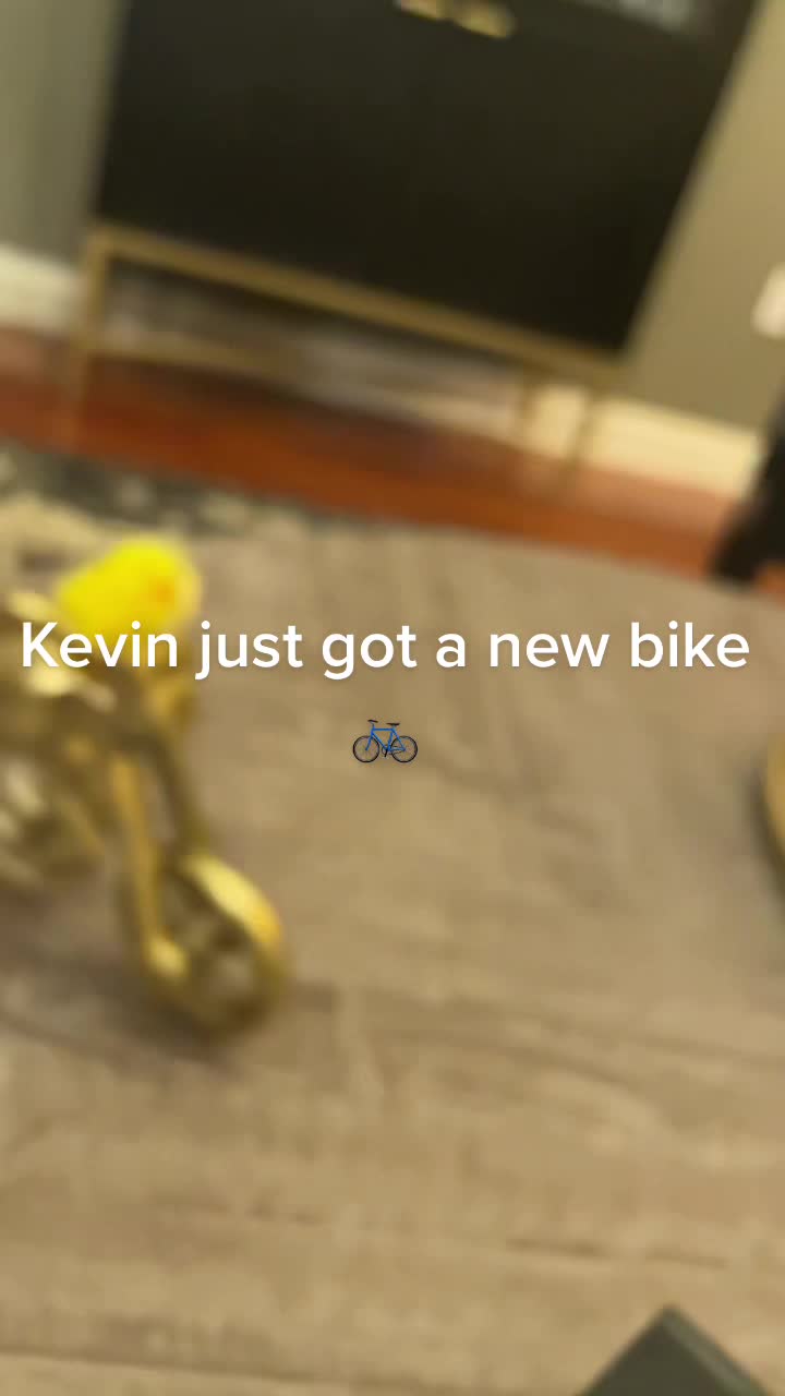 @kevin_the_chick_