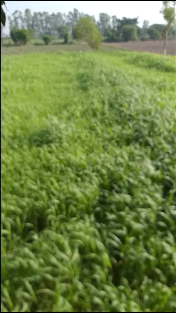 @user1674475231560