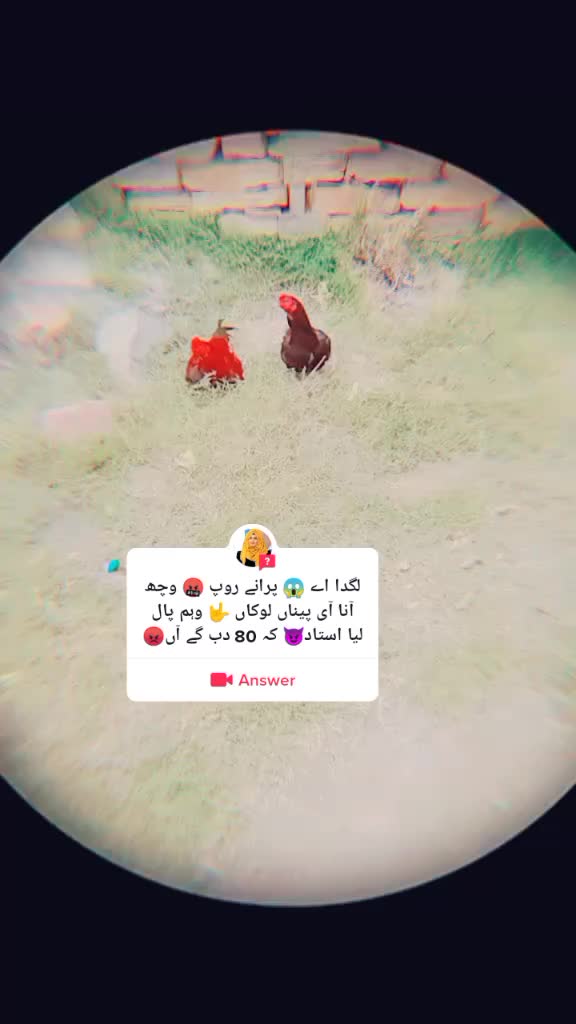 @عامر AS🌹💞Amir