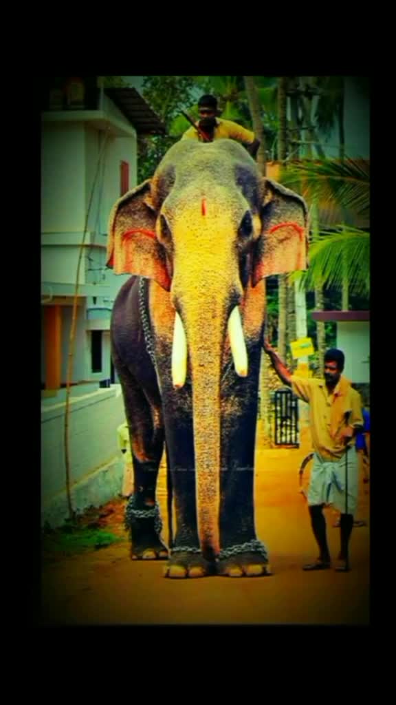 @ashin achoottan