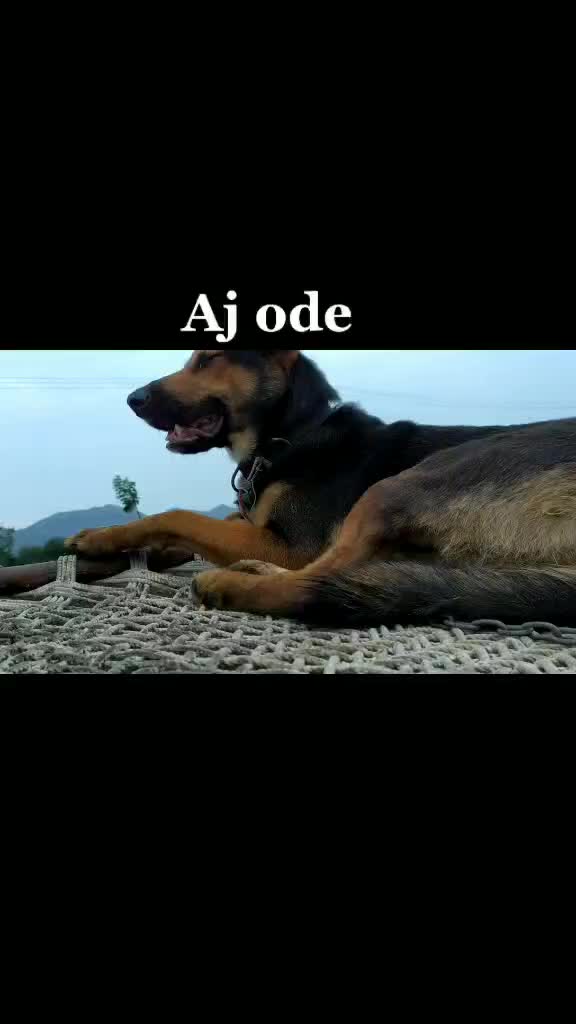 @the real Aj ode 👑