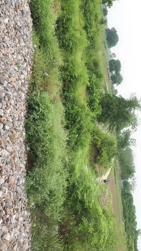 @Sabi Ahmad