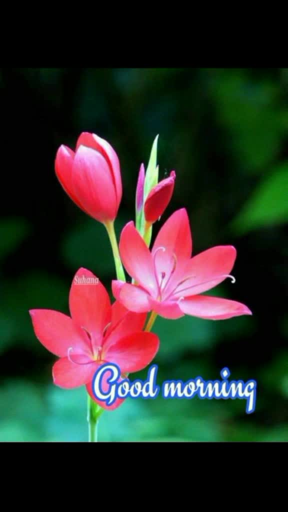 @user8969225726950