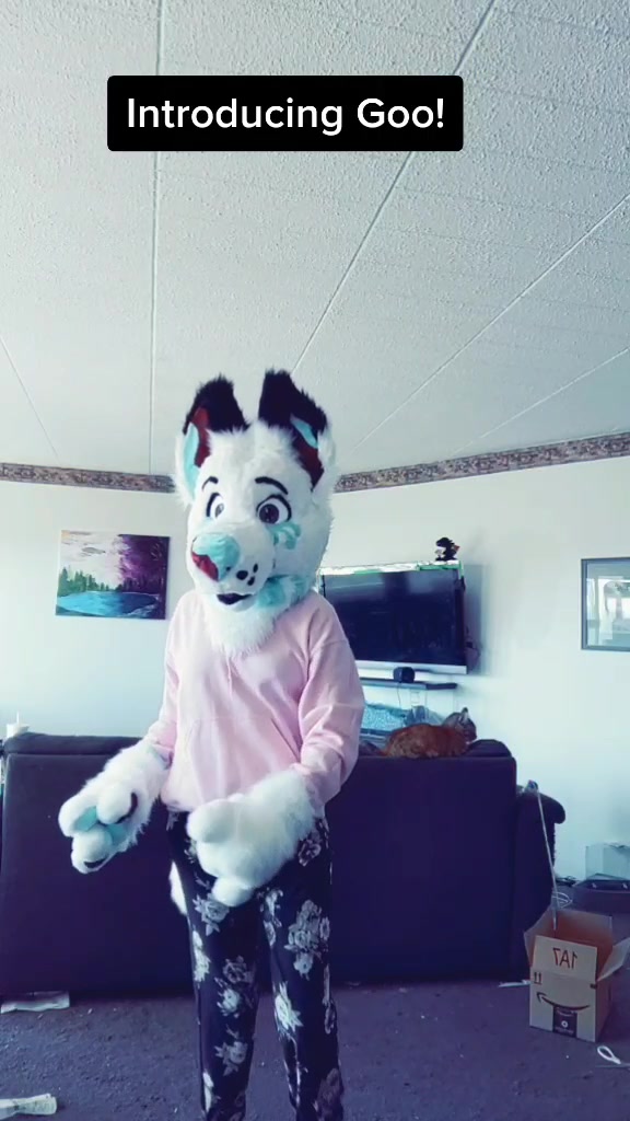@CookieShiba