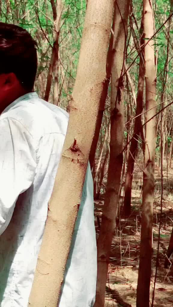@Vamshi Thadikamalla