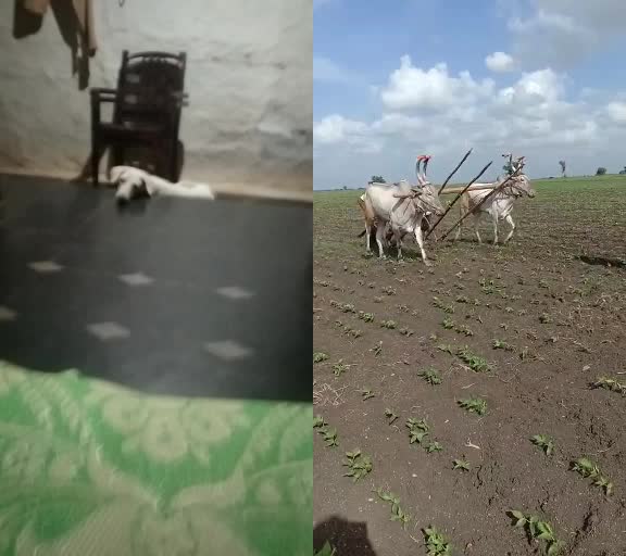 @Basu parannavar