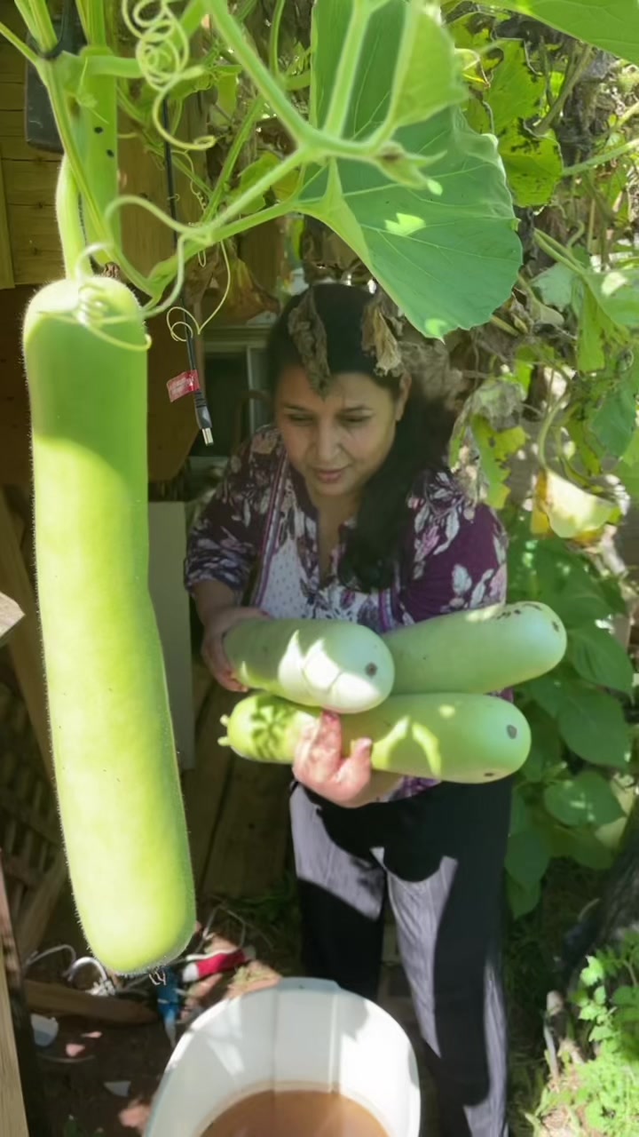 @Maya Adhikari
