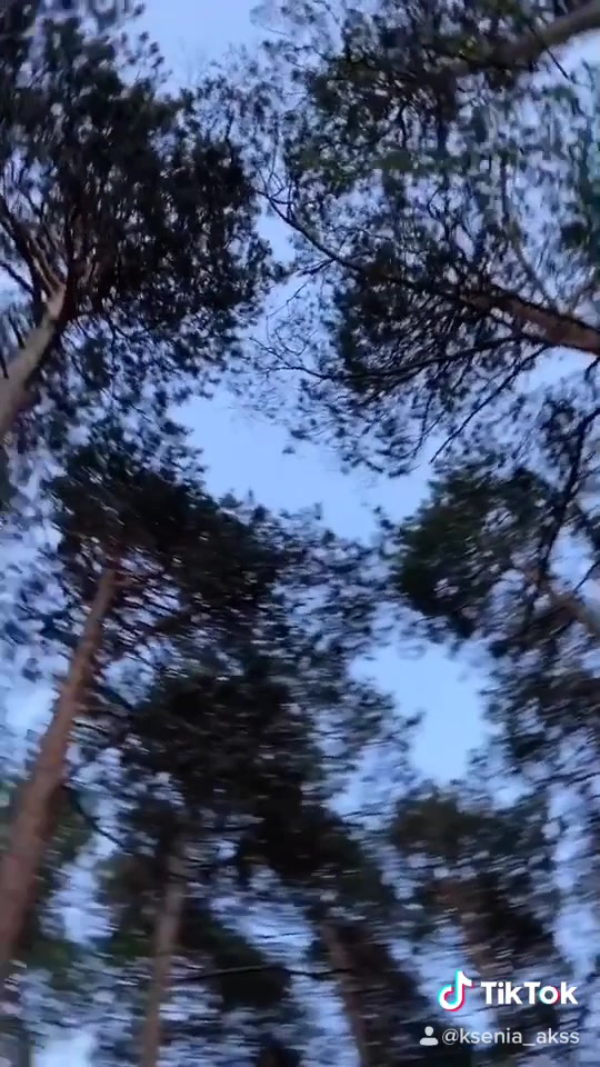 @Ксения Аксенова