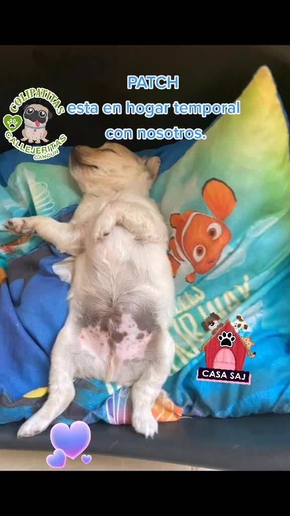 @CasaSAJ