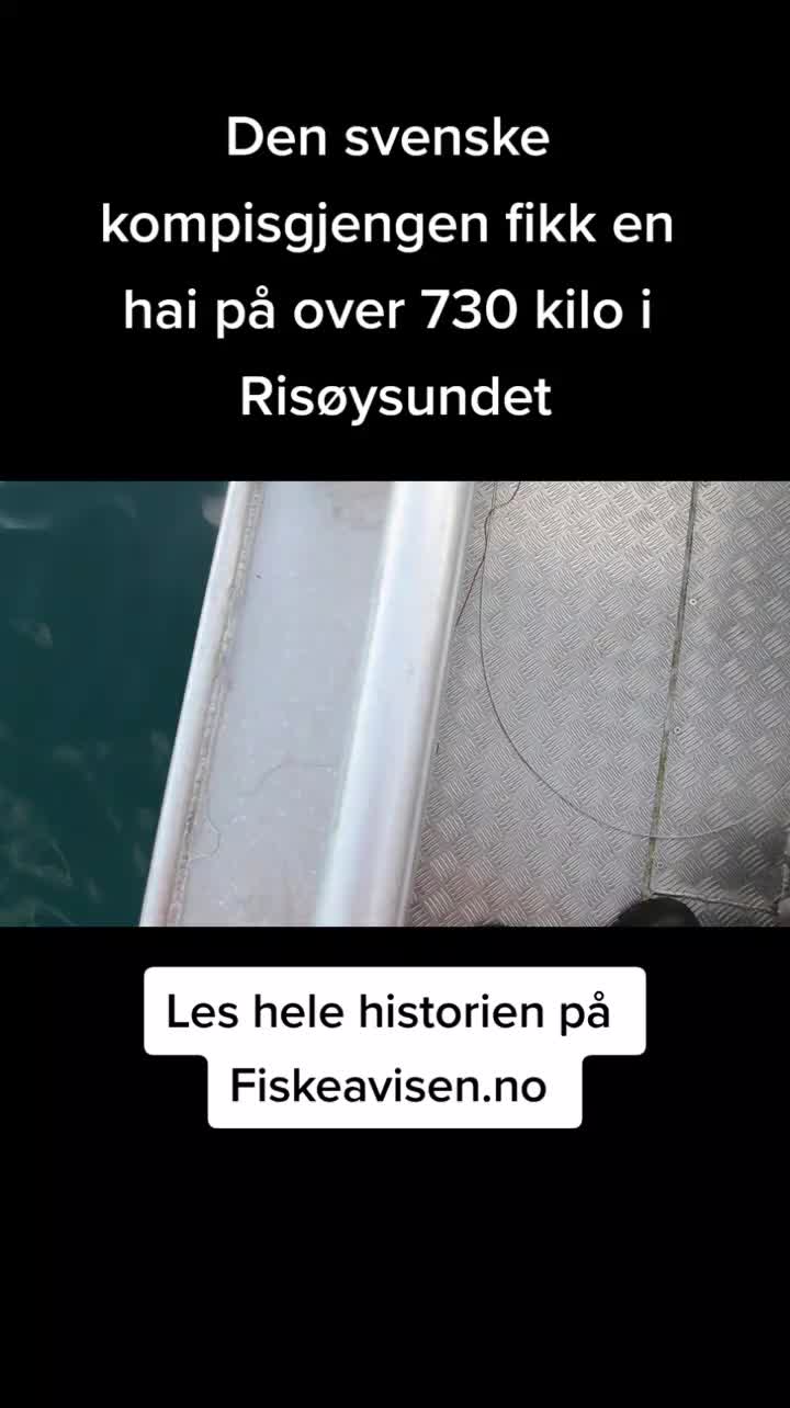 @Fiskeavisen.no