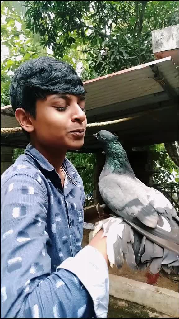 @abhayjishnutk
