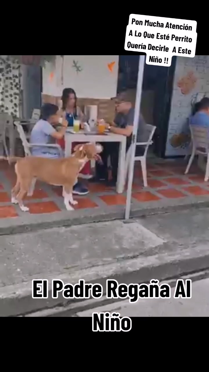 @Wawa Ramirez755