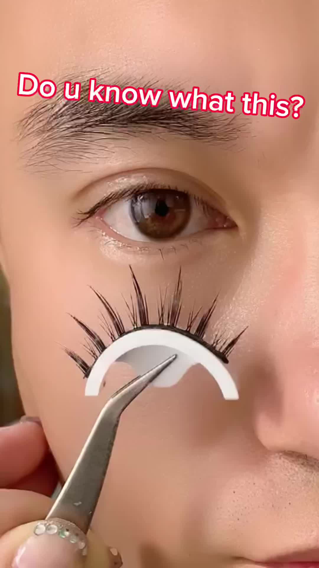 @nbzhongmeng